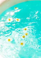 Little wild daisies with yellow center floating on the blue bubble paradise water. Shadow from flowers on the bottom. Free copy space. Top view, macro shoot