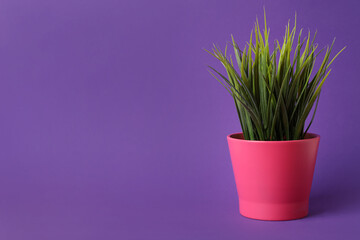 Beautiful artificial plant in flower pot on purple background, space for text