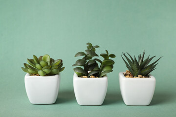 Beautiful artificial plants in flower pots on color background