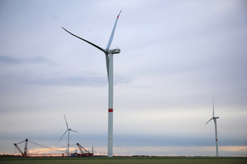 Beautiful view of field with wind turbines in evening. Alternative energy source