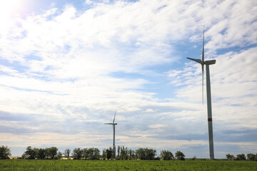 Fototapeta na wymiar Beautiful view of field with wind turbines. Alternative energy source