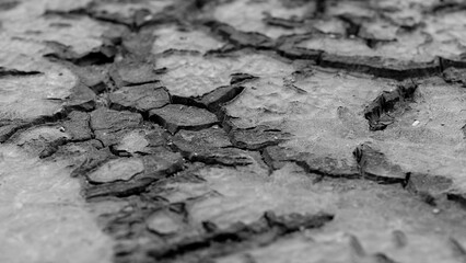 Dried cracked black mastic