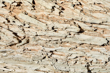Old, wooden boards with texture as background