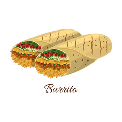 Burrito vector icon.Cartoon vector icon isolated on white background burrito.