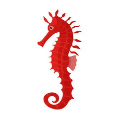 Sea horse vector icon.Cartoon vector icon isolated on white background sea horse.