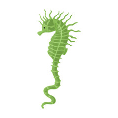 Sea horse vector icon.Cartoon vector icon isolated on white background sea horse.