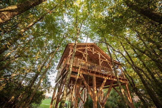 Cabane