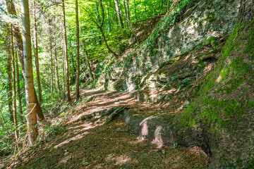 Along the panorama path in Heiligenberg