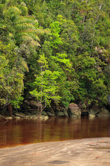 Small beach landscape in Bako national park Malaysia