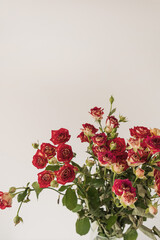 Red roses flowers bouquet on white background. Flat lay, top view floral holiday celebration composition. Wedding, Valentine's Day, Mothers Day.