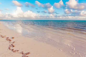 Serenity tropical beach Polariod instagram filter applied.