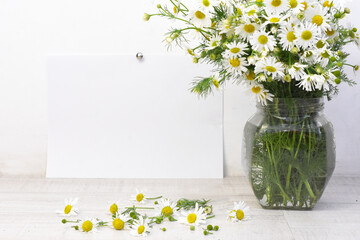 bouquet of daisiesflower, white, daisy, bouquet, nature, flowers, spring, green, plant, yellow, summer, floral, chamomile, blossom, isolated, petal, vase, camomile, beauty, beautiful, bloom, leaf, chr