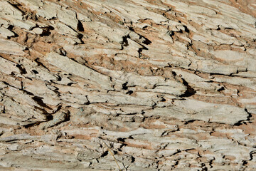 Old, wooden boards with texture as background