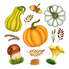 Watercolor autumn set of pumpkins in various colors, acorn, mushrooms, leaves. Hand drawn fall season collection of objects isolated on white background for design print, Thanksgiving Day decoration