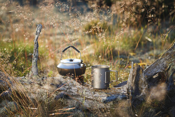 Kettle and a titanium cup of tea on a tree trunk in the forest. The background is blurred.