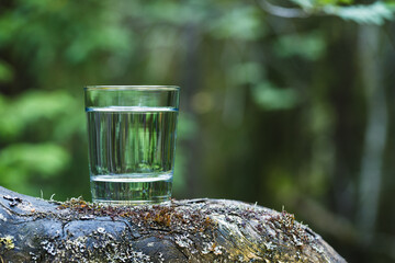 Glass of natural water stands on tree trunk in forest. Forest background blurred.