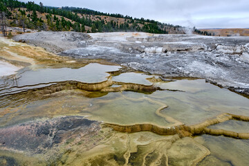 Minerva Terrace, Yellowstone National Park, Wyoming, USA