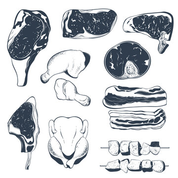 Set of different types of meat . Beef steak, chicken legs, lamb shank, bacon and shish kebab. Hand drawn vector illustration