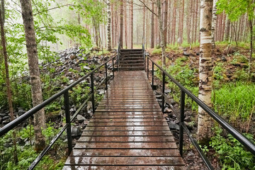 A forest with a wooden walkway with a metal railing in a rainy day. Concept of travel and healthy lifestyle.