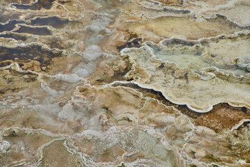 Colorful bands of thermophilic bacteria in Yellowstone National Park