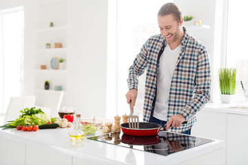 Cooking veggie dish day. Positive man guy prepare tasty family meal morning breakfast frying food pan enjoy wear casual checkered plaid shirt in house indoors kitchen