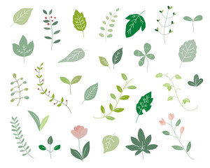 手描きの植物のイラストのセット 葉 花 シンプル 素材 おしゃれ 葉っぱ Wall Mural Yugoro 手描きの植物のイラストのセット 葉 花 シンプル 素材 おしゃれ 葉っぱ Wall Mural Yugoro