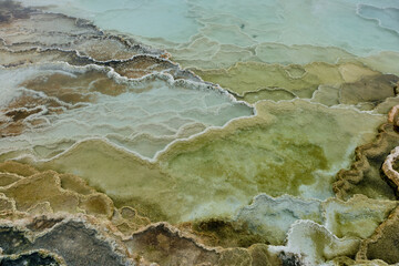 Colorful bands of thermophilic bacteria in Yellowstone National Park