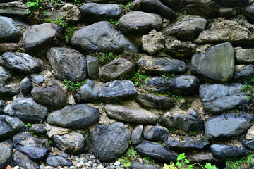 The old stone wall was overgrown with green grass.