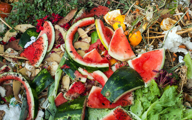 Compost and composted soil cycle as a composting pile of rotting kitchen scraps