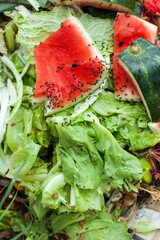 Compost and composted soil cycle as a composting pile of rotting kitchen scraps