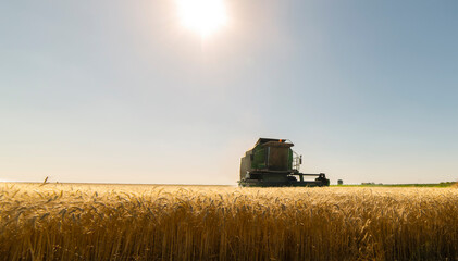 Fototapeta premium Harvester at work in summer sun