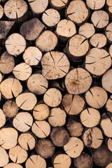 Pile of wood logs drying and getting ready for winter