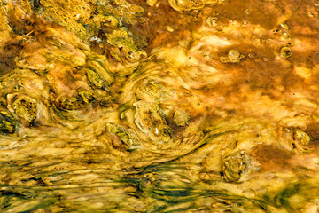 Colorful bands of thermophilic bacteria in Yellowstone National Park