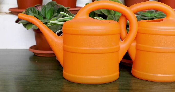 Sliding from right to left side along two orange garden watering cans who are stands nose to nose front of pots with flowers