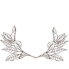 vintage style elegant  branches graphics decor 300 dpi digital art