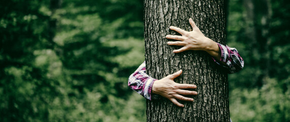 woman hand embracing a tree in green forest - nature loving, fight global warming, save planet earth