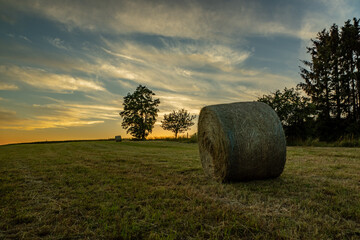 Heuballen auf dem Feld
