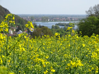 Feld in der nähe der Valhalla