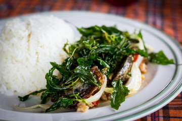  STIR FRIED CRISPY BASIL WITH PORK AND BLACK PRESERVED EGGS