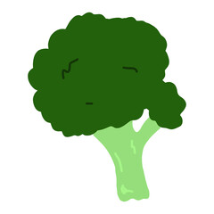ブロッコリーのカラーイラスト素材【白背景】