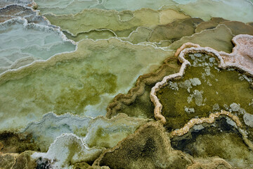 Colorful bands of thermophilic bacteria in Yellowstone National Park