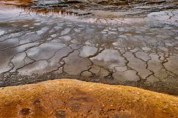 Colorful bands of thermophilic bacteria in Yellowstone National Park