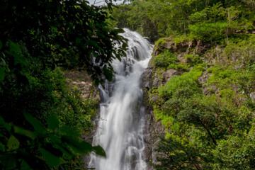 Fototapeta premium waterfall in the rainforest