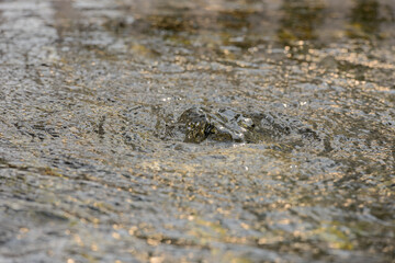 Portrait of bubbling water in nature outdoors