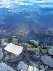 Stones lying on the shores of crystal clear water - Lysaker 