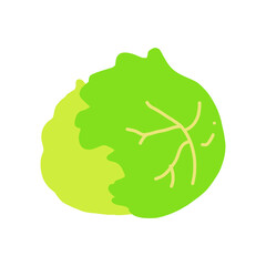 レタスのカラーイラスト素材【白背景】