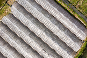 aerial view of greenhouse in Puli township, Nantou, Taiwan