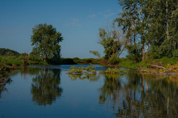 Fototapeta na wymiar Russia. The South Of Western Siberia. Summer windless day on the Ob river