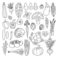 Set of outline vegetables on the white background in doodle style. Bundle of hand drawn fresh vegetarian food, with black contour. Simple art objects. Vector illustration, isolated. 