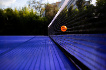 Table Tennis/Ping Pong in the Garden